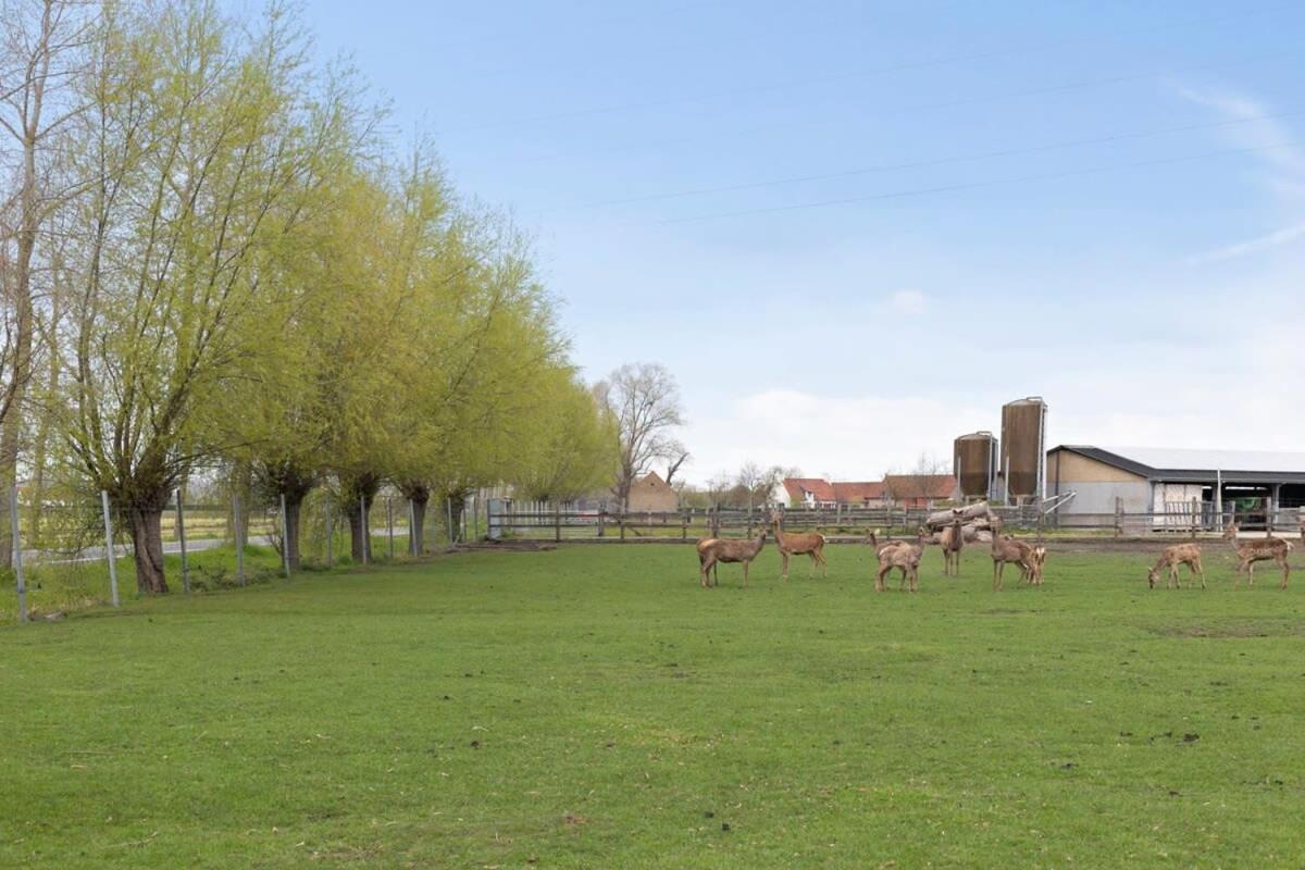 Huswell - Family House With A Beautiful View In Damme Villa Brugge Eksteriør bilde